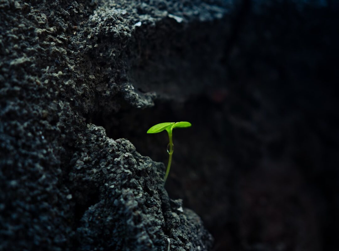 Grandir dans la Foi : 5 Clés pour la Maturité Spirituelle