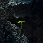 grandir-dans-la-foi-chretienne-maturite-spirituelle