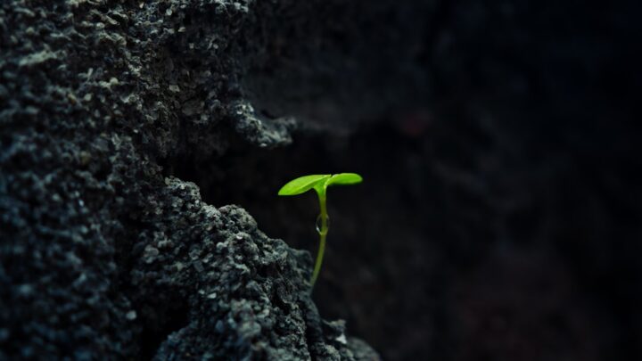 Grandir dans la Foi : 5 Clés pour la Maturité Spirituelle