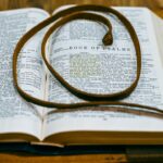 evangile-de-matthieu-guide-complet