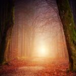 jean-14-6-je-suis-le-chemin-verite-vie