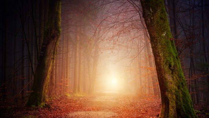 Jean 14:6 – Je Suis le Chemin, la Vérité et la Vie