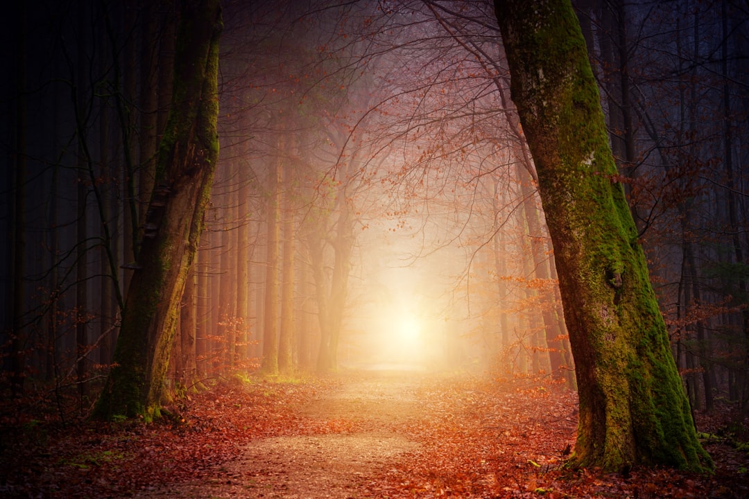 Jean 14:6 – Je Suis le Chemin, la Vérité et la Vie