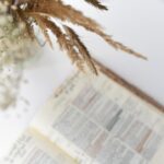 lecture-quotidienne-de-la-bible