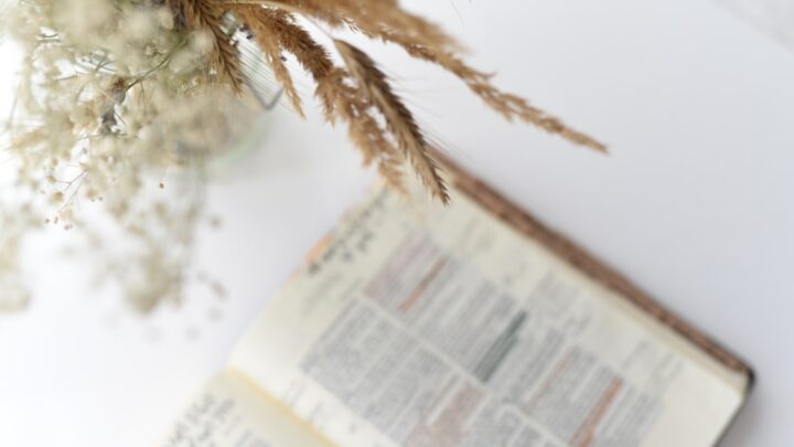 Lecture quotidienne de la Bible : transformez votre vie