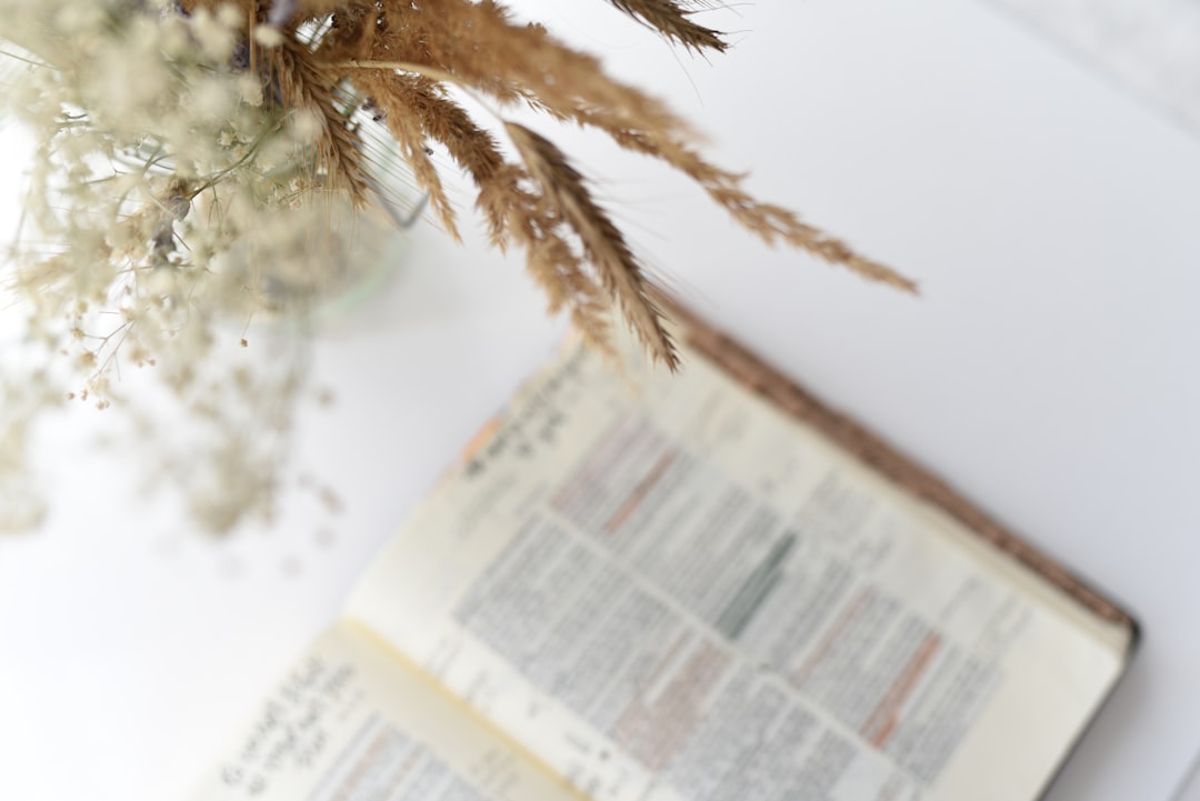 Lecture quotidienne de la Bible : transformez votre vie