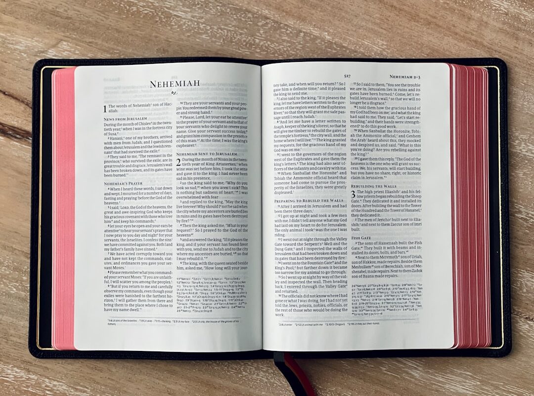 Salut par la foi selon la Bible Éphésiens : la grâce