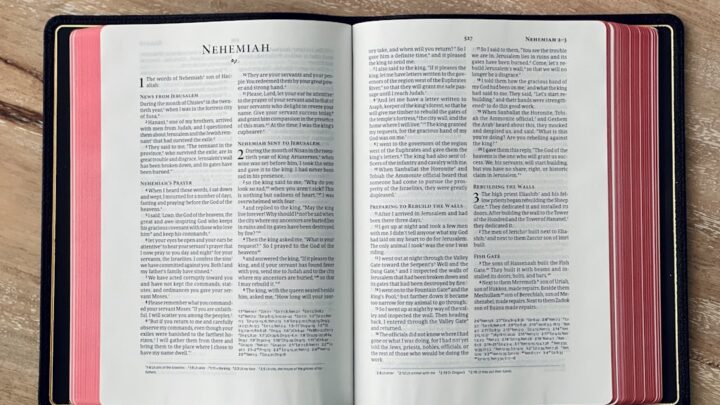 Salut par la foi selon la Bible Éphésiens : la grâce
